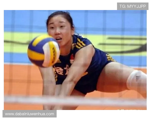 张娜专访：探寻排球背后的成功秘诀与奋斗故事